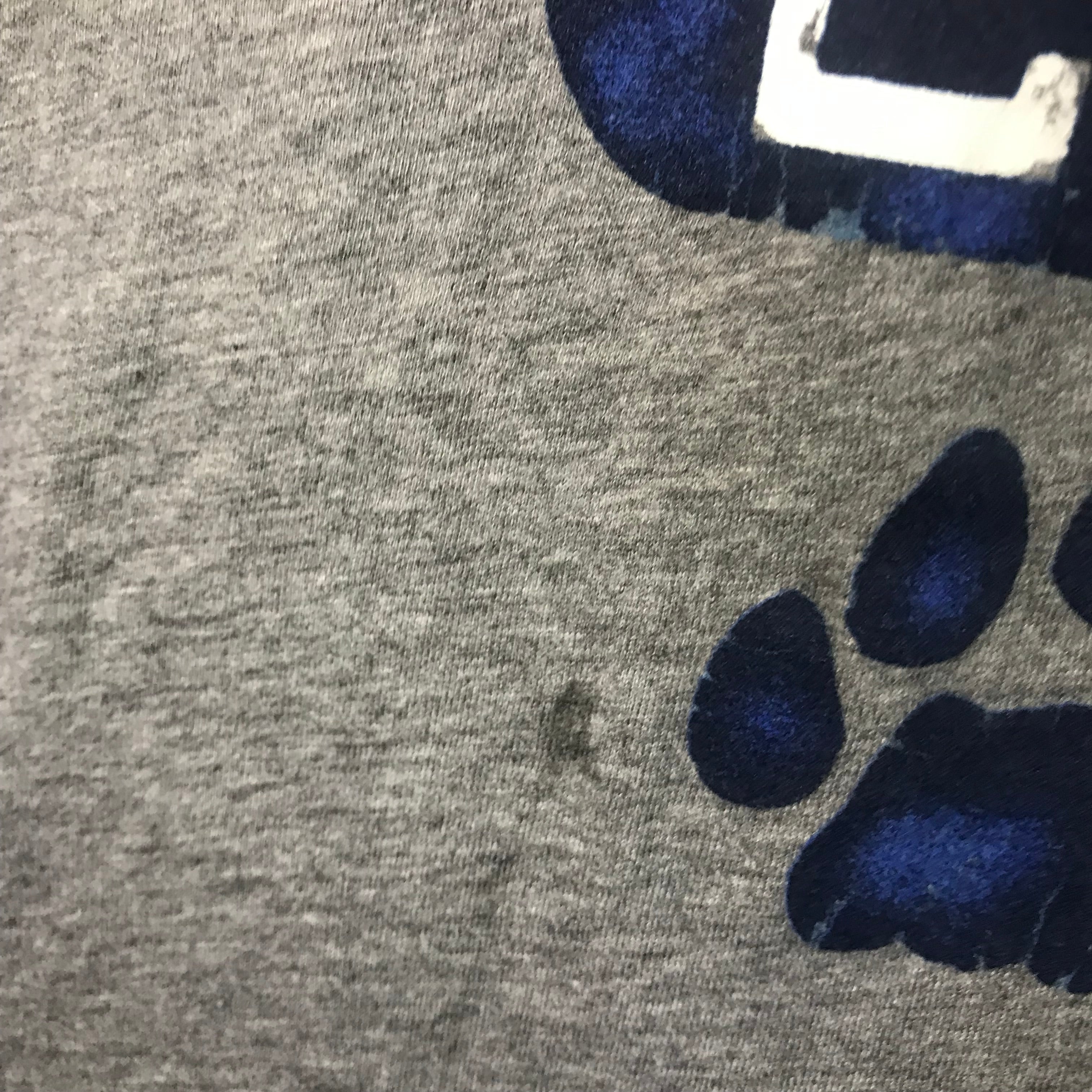 Abercrombie & Fitch go bobcats