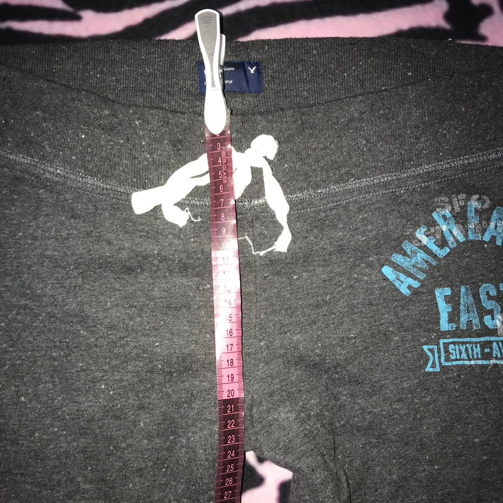 American Eagle Lowrise Sweat Pants